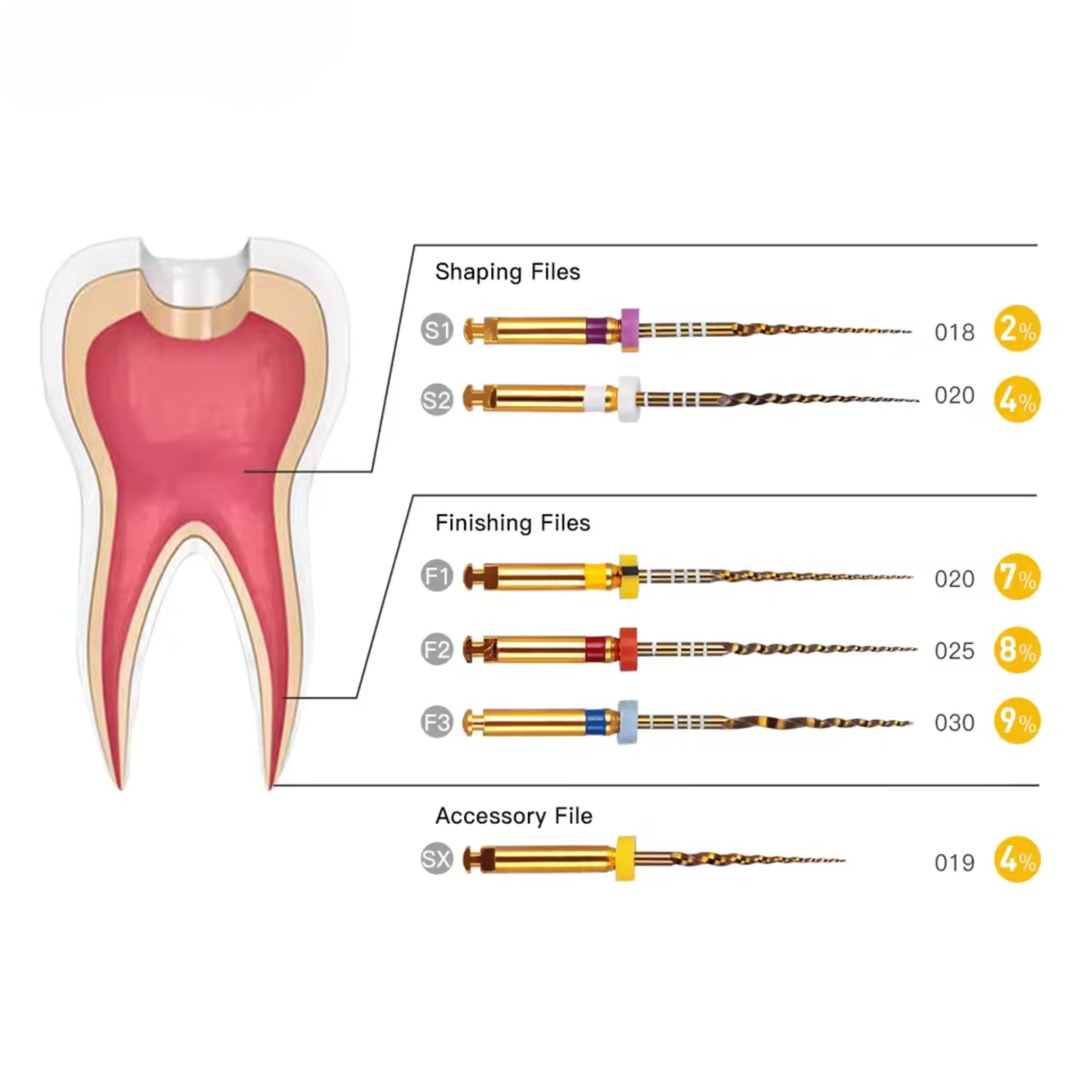 Lime Dentaire Endodontique Dorée